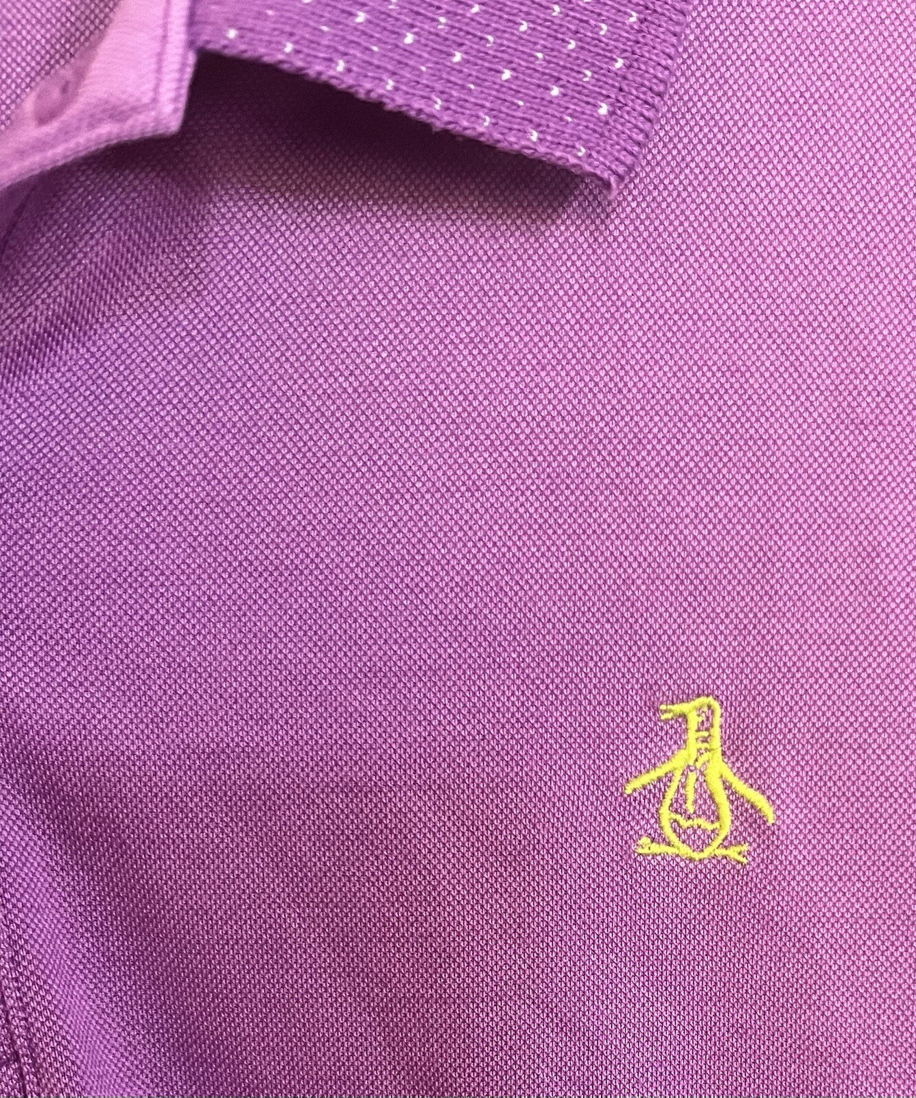 Picture 5 of 6