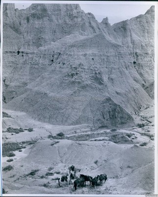 1968 South Dakota Badlands Nearby Peaks Dwarf Horses Below Travel Photo 8x10