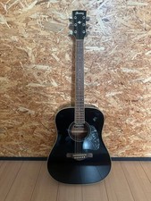 Ibanez AW70-BK Akustikgitarre schwarz mit Original Koffer