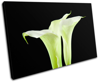 Calla Lily Flowers Floral SINGLE Leinwand Wand Kunst Bild drucken