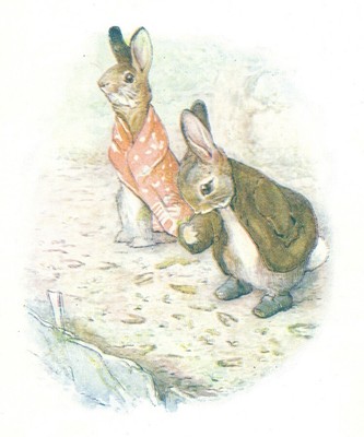 BENJAMIN BUNNY High resolution Instant Download Antique reproduction file 1904