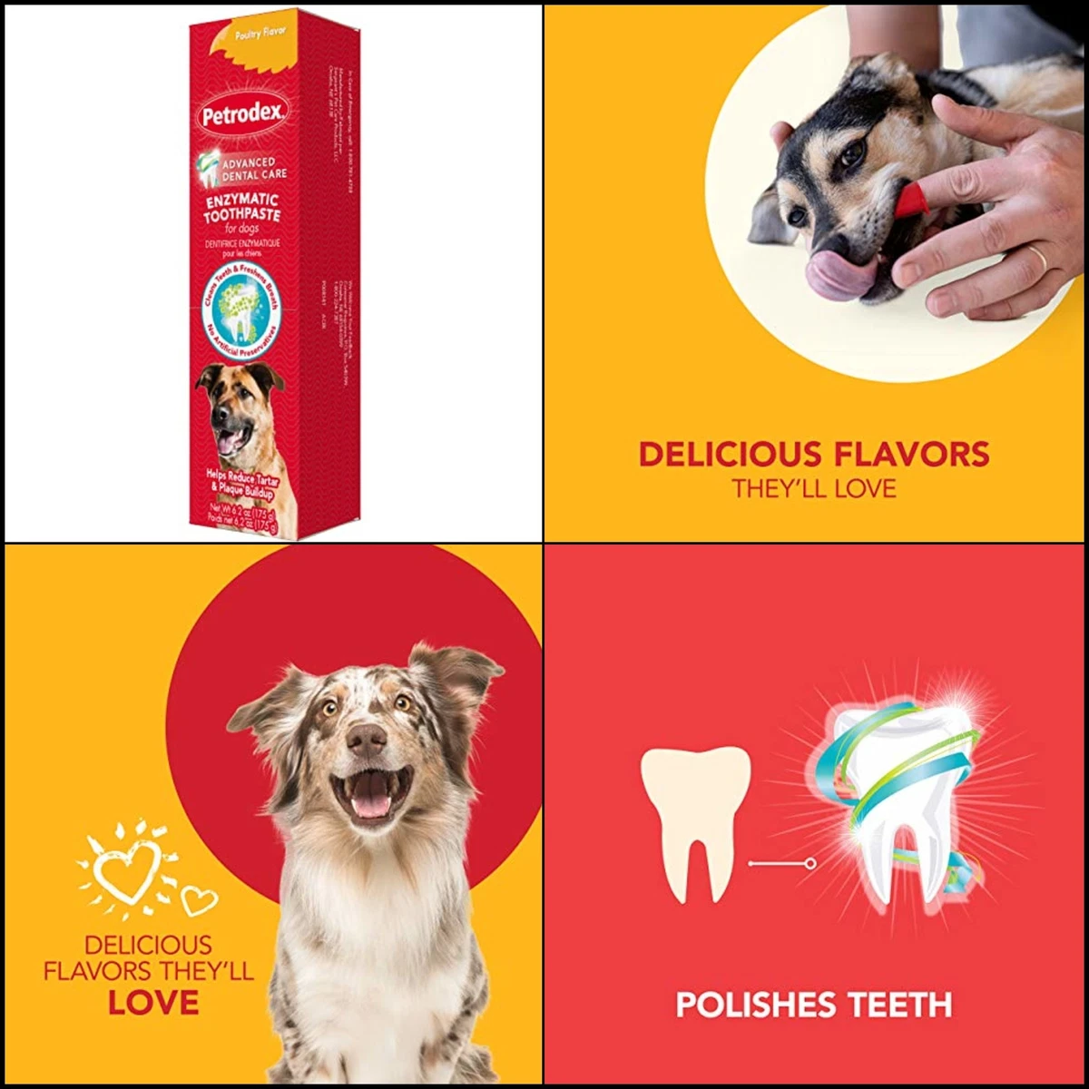 Petrodex enzymatic toothpaste dog poultry flavor top