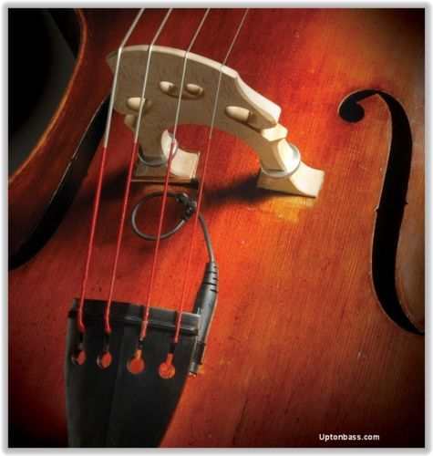 Realist Copperhead Bass Pickup - New | eBay