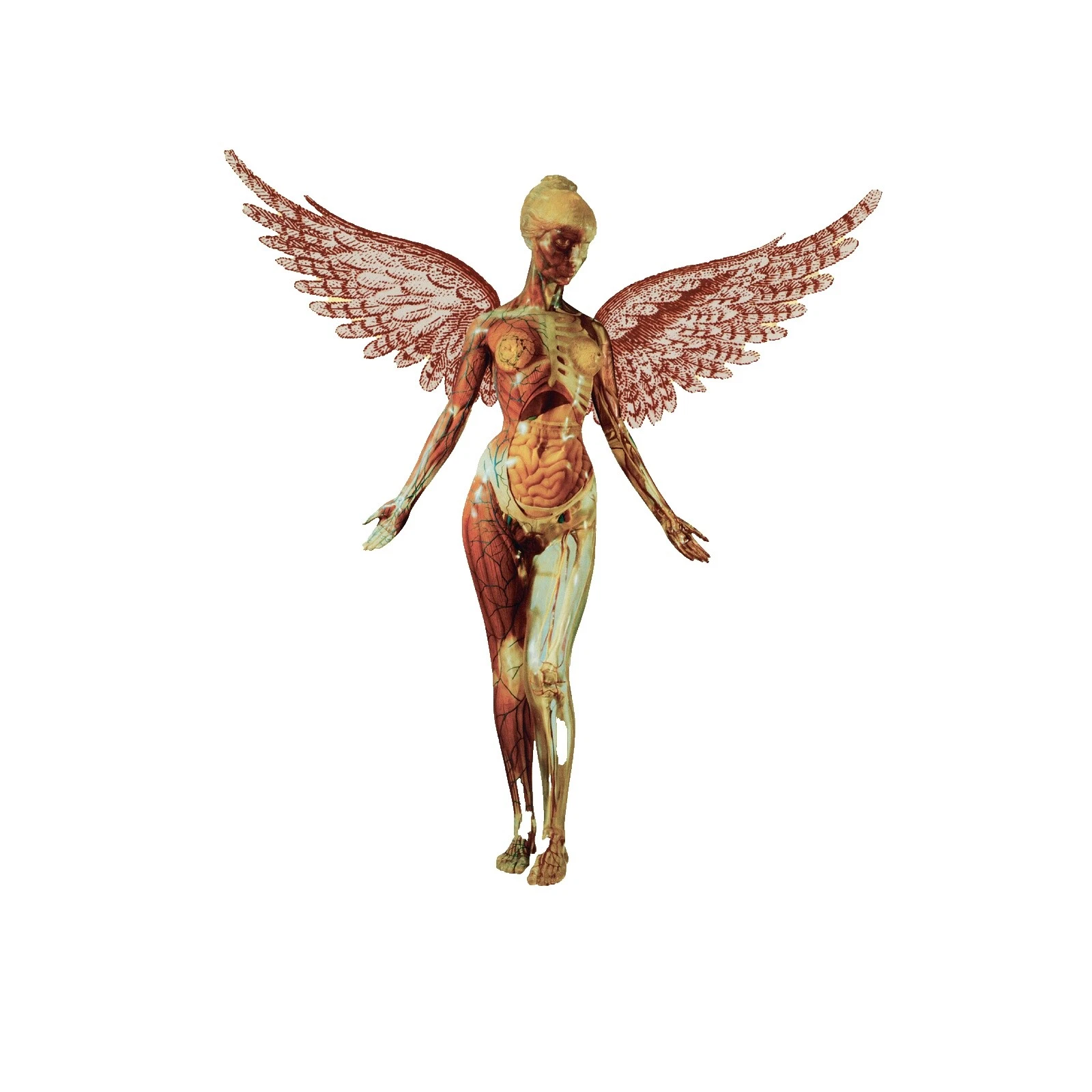 Nirvana Single Vinyl Records