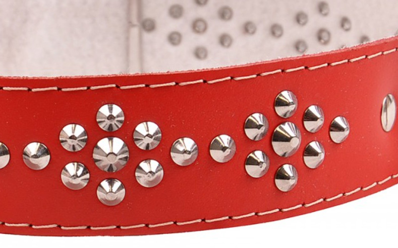 Hundehalsband Leder Lederhalsband Fetttleder Nieten (4cm) breit Echtleder