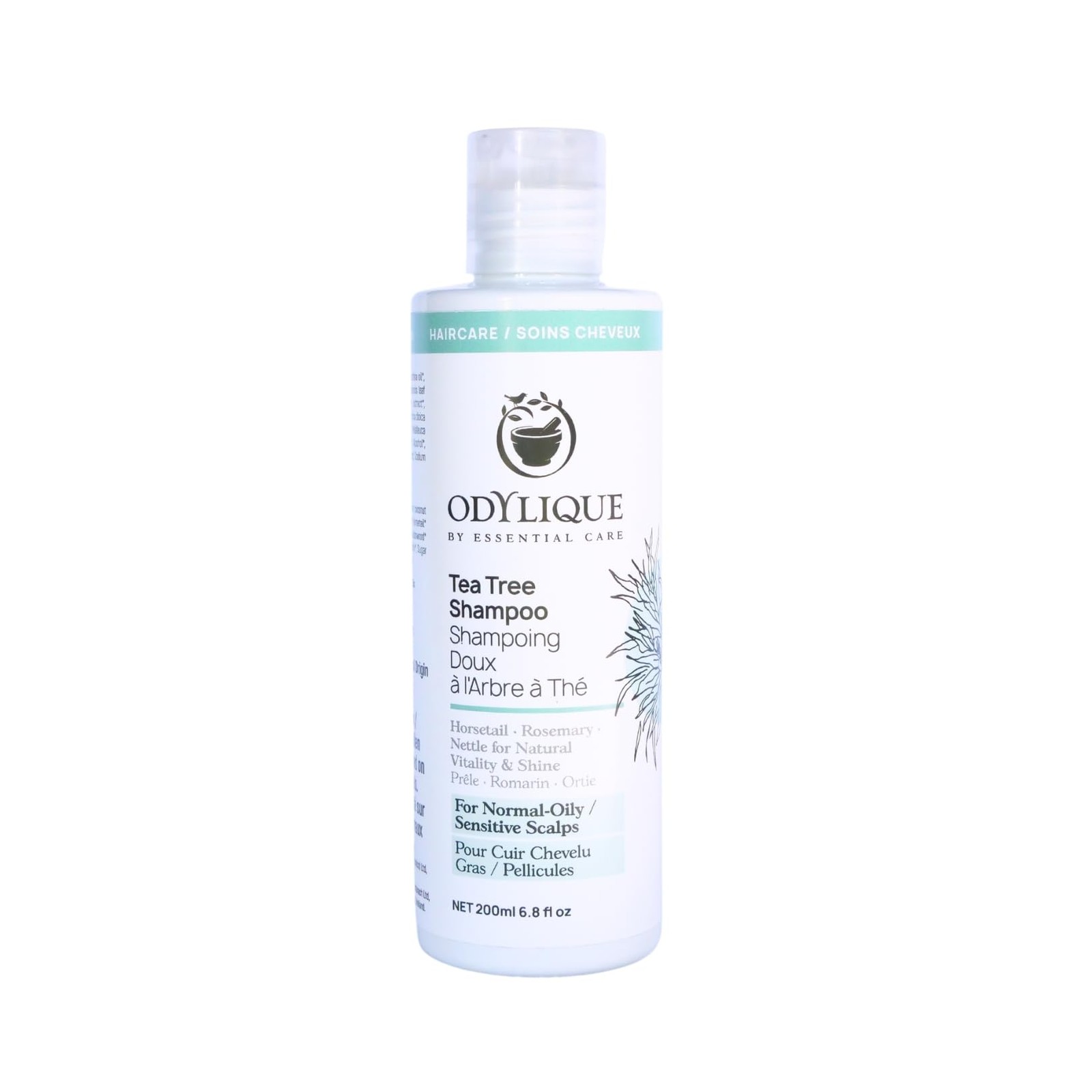 Shampoing doux à l'arbre à thé bio purifiant contre les pellicules