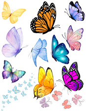 Butterflys Temporary Tattoos - FULL SHEET Sports Birthday Party Supplies KIDS