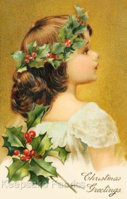 Crazy Quilt Block Christmas Girl Holly Multi Sz (C15