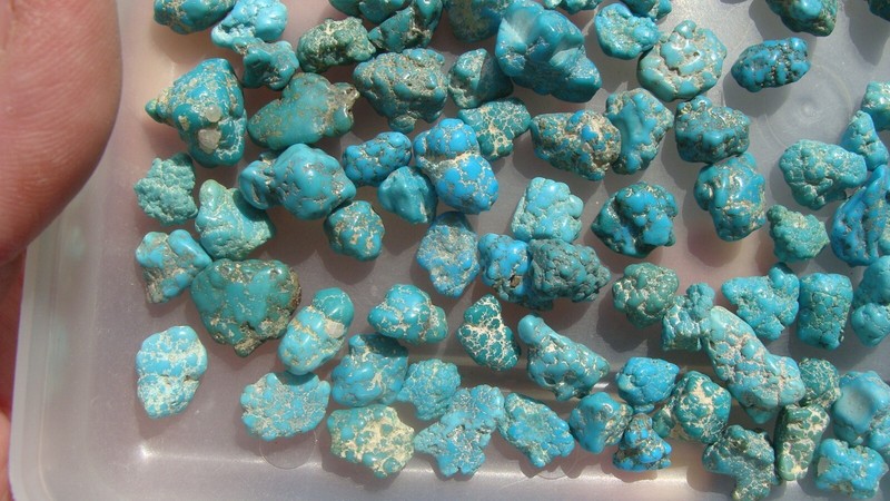 Darling Darlene Spiderweb Turquoise Un Drilled Nuggets Beads NEV 1046 KTS 