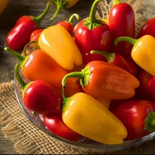 Mini Sweet Pepper – 25 Seeds | Crisp, Flavorful Peppers for Snacking & Salads