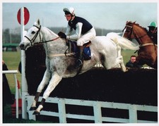 Original Press Photo Horse Racing Desert Orchid undated