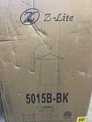 Z-Lite 5015B-BK Rainer Outdoor Wall Light