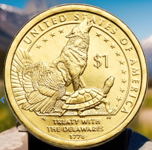 2013-P Gem Native American Sacagawea Dollar BU from OBW FAST FREE SHIPPING - Picture 2 of 6