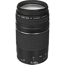 Canon EF 75-300mm f/4-5.6 III Telephoto Zoom Lens for Canon SLR Cameras, 6473A00