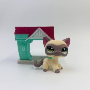 Littlest Pet Shop Hasbro #1116 Chat Shorthair Original - Collection LPS