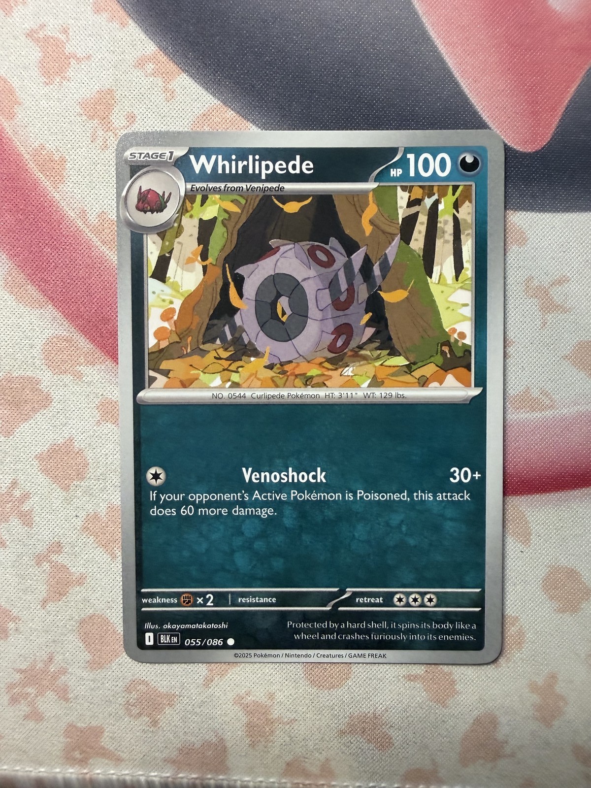 Whirlipede Common SV: Black Bolt 055/086 NM English Pokemon Card
