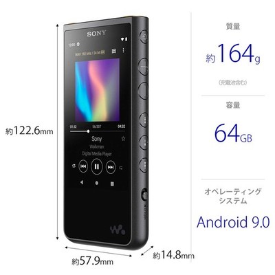 Sony Walkman ZX500 Black Portable MP3 Player - NWZX507B for sale
