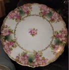 Antique J & C Malmaison Germany Porcelain Plate Wild Roses 10 1/2" — photo 1