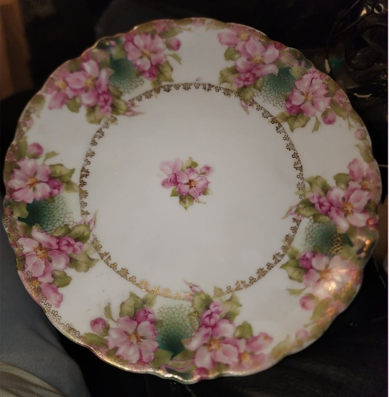 Antique J & C Malmaison Germany Porcelain Plate Wild Roses 10 1/2"