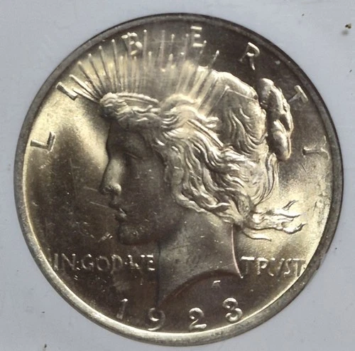 1923 P Silver Peace Dollar.  NGC MS64. Gold Tone. Die Break. VAM-?? Video A0189.
