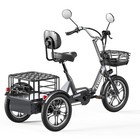 CYSUM 3-Rad E-Trike 48V Elektro-Dreirad Lastenrad mit Korb  Lager in Deutschland