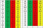 Afbeelding 21 van 21