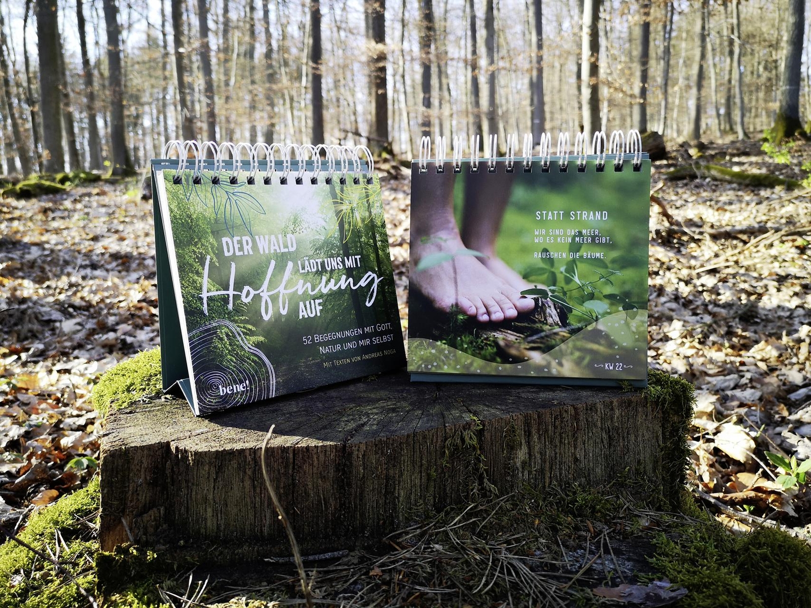 Thumbnail - Der Wald Lädt Uns Mit Hoffnung Auf - Aufstellbuch Andreas Noga