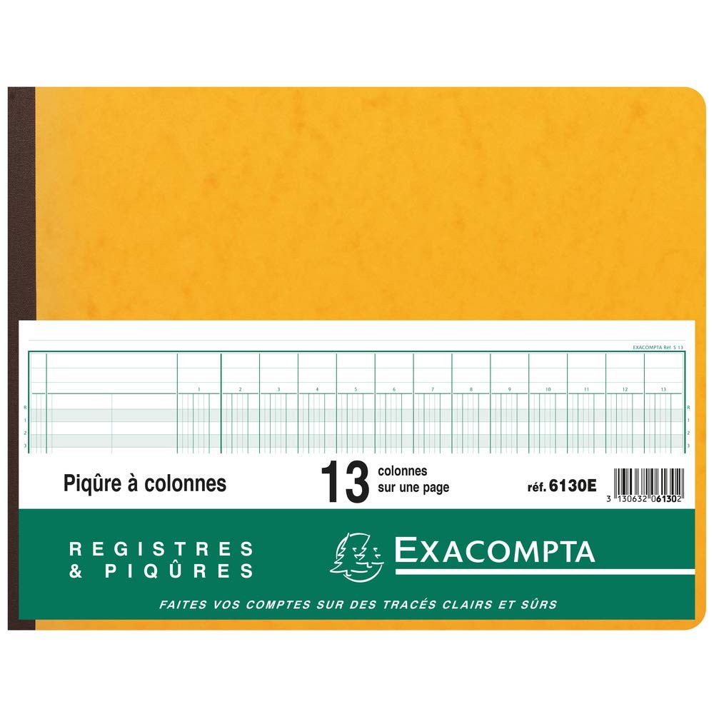Piqûre comptable 13 colonnes 25x32 grand cahier journal de bord 31 lignes