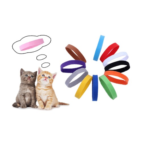 15 Pcs Pet Collar Small Dog Collars Basic Litter for Puppies Cute - Picture 10 of 12