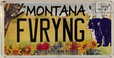 PRESERVE PLACE vanity 4 EVER YOUNG license plate Youthful Enjoy Life Mindset Fun