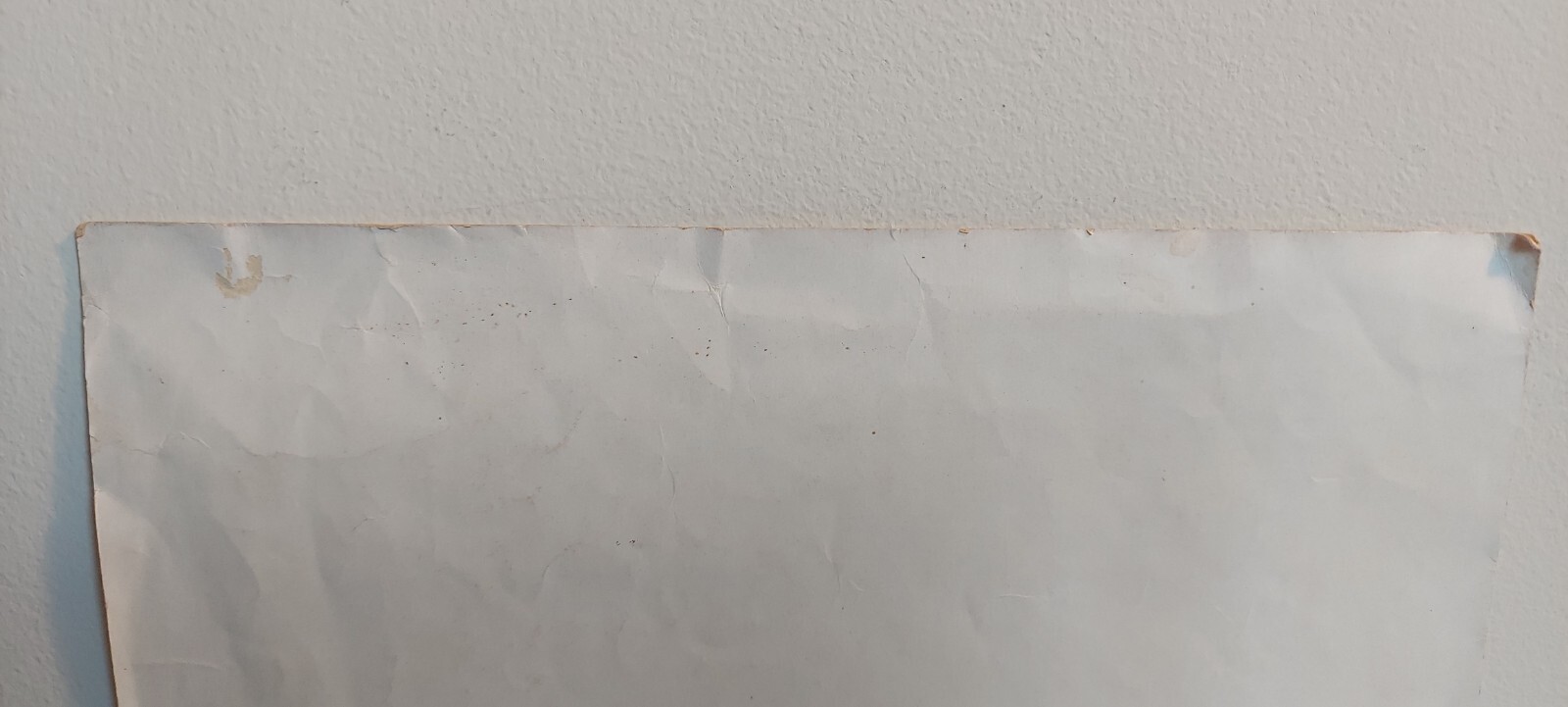 Picture 9 of 12