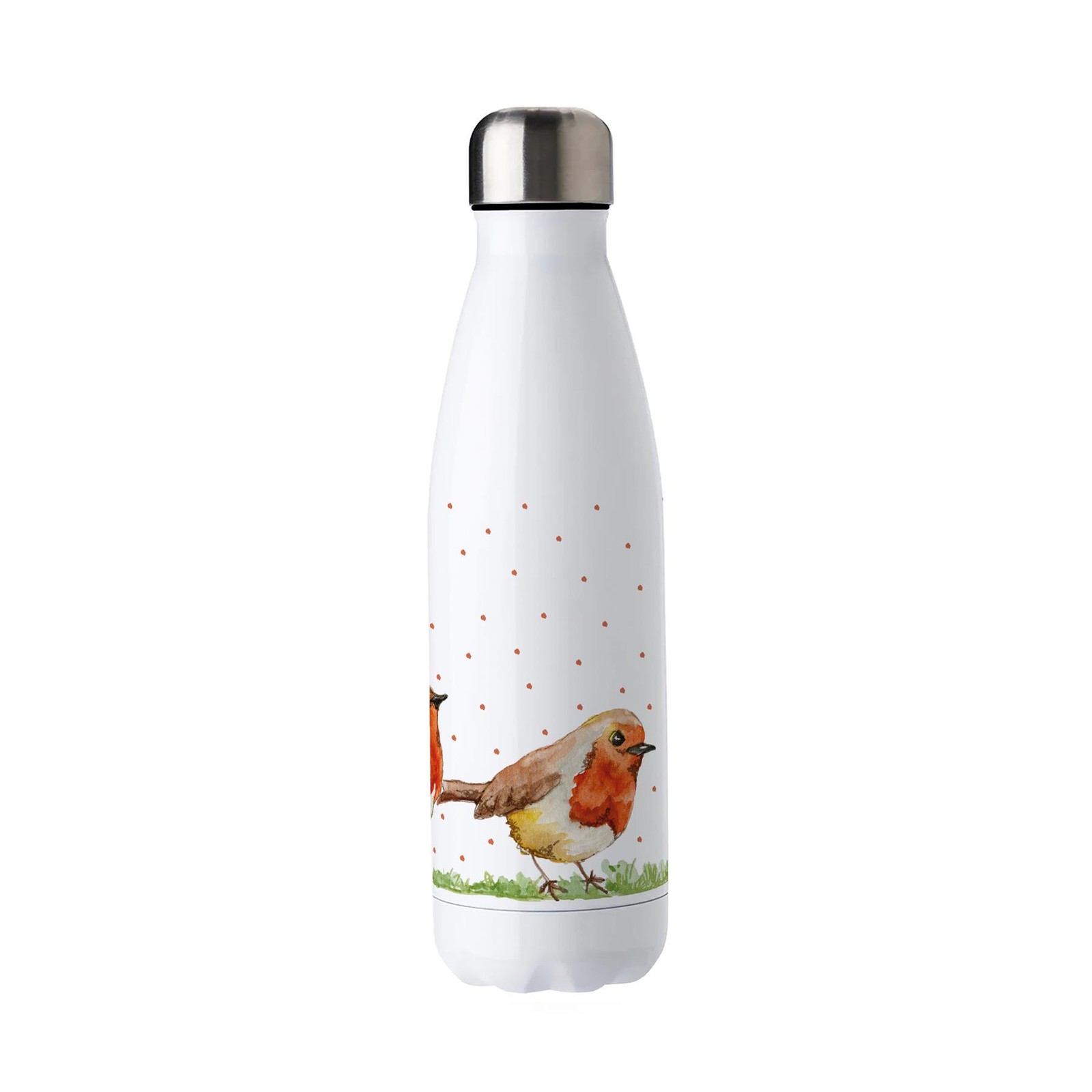 Robins Stainless Steel Water Bottle - British Garden Birds Presents 500ml