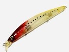 Shoreline Shiner R50+SSR F-G#Red Head Clear