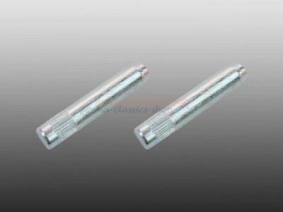 2x Türpin Bolzen Türscharnier für VW Golf 1 2 Jetta Polo Bus T3 Passat Scirocco