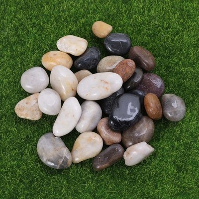 Natural Cobblestone Rain Flower Fish Tank Stones 2-3 Pebbles 500G Colorful Stone