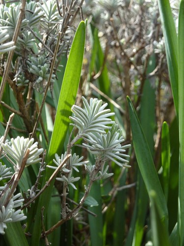 Panasonic LUMIX TZ7 rot (10,1 Megapixel, 12x Zoom, Leica Objektiv) - Bild 3 von 24