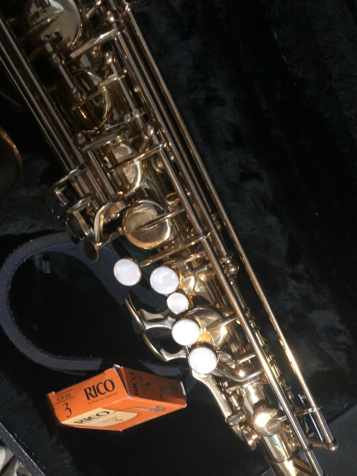 Antigua Winds WW510 Alto Saxophone w/ Case NICE eBay