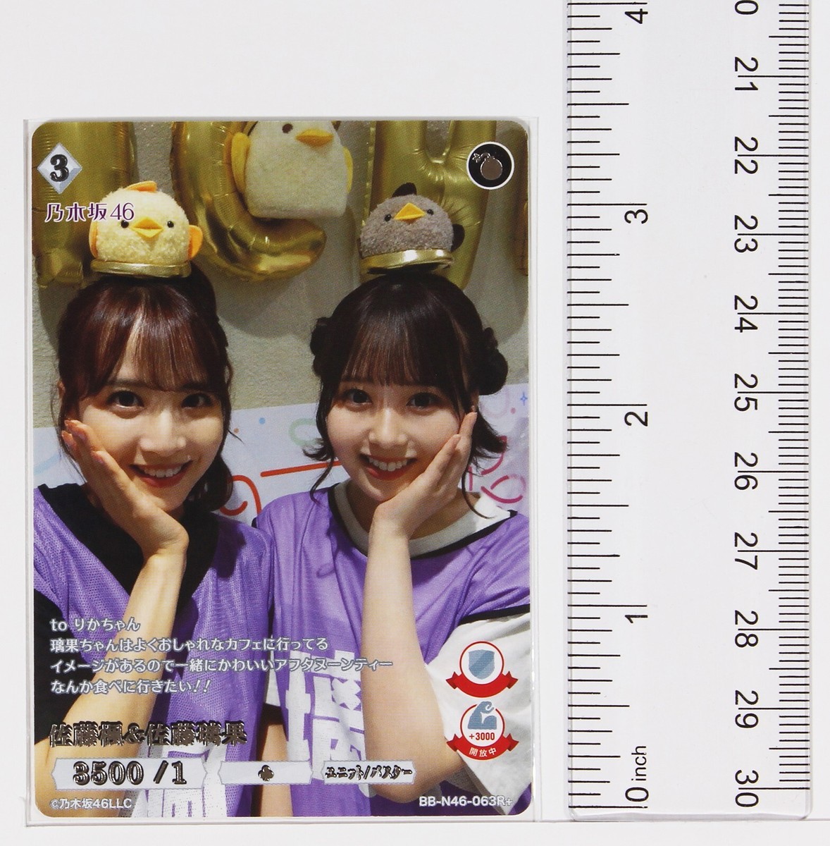 Kaede Sato & Rika Sato (N46-063R plus) - Build Divide