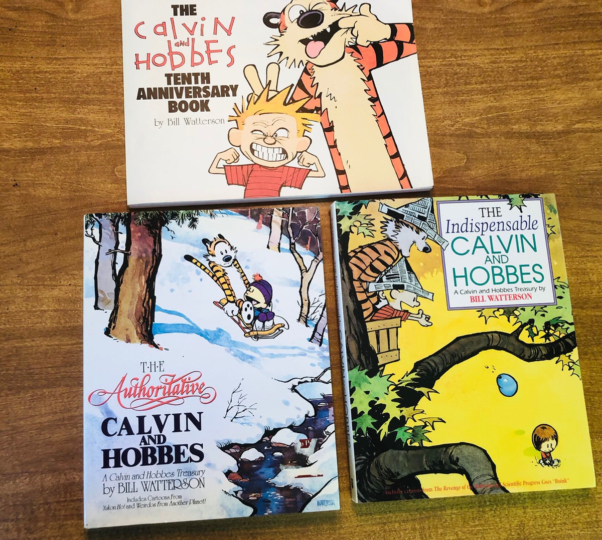 カルビンとホッブス : American kids comedy 2 By Bill Watterson - Calvin And Hobbes Volume 2: One Day the