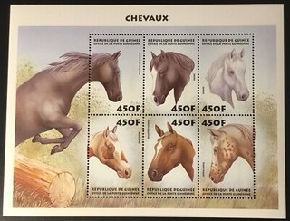 Guinea Foglio miniatura cavalli 1999 MNH