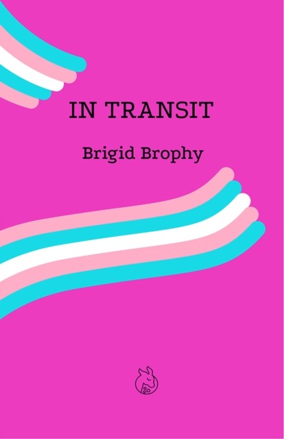 In Transit by Brigid Brophy (Paperback Book)