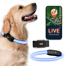 PAJ GPS Hunde Tracker 4G + LED Halsband – Live Tracking, Wasserdicht, Ortung