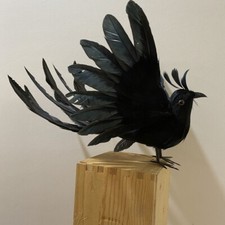 simulation wings bird model foam and feather long tail black bird gift 35cm