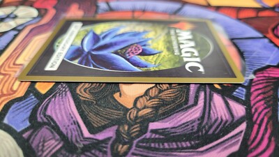 Time Walk タイムウォーク　MTG 30th edition ✨Time Walk - 30th Anniversary Edition R 83 30A Magic Card