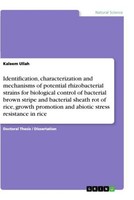 Identification, Characterization And Mechanisms Of Potential Rhizobacterial Stra