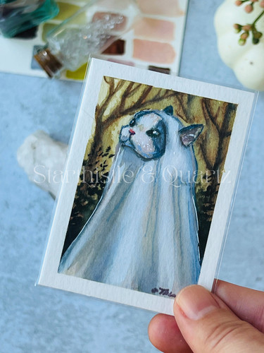 Original ACEO Gracie Ragdoll Cat Ghost Halloween Art OOAK starthistle.and.quartz