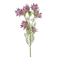 artplants KüNstlicher Zweig KöNigs Protea Zalrin, Pink, 80Cm
