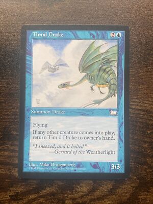 Timid Drake Weatherlight MTG Magic The Gathering D11001*