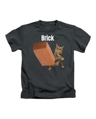 Brick Cat Meme Erwachsene T-Shirt Lustig Katze Meme Fun Top