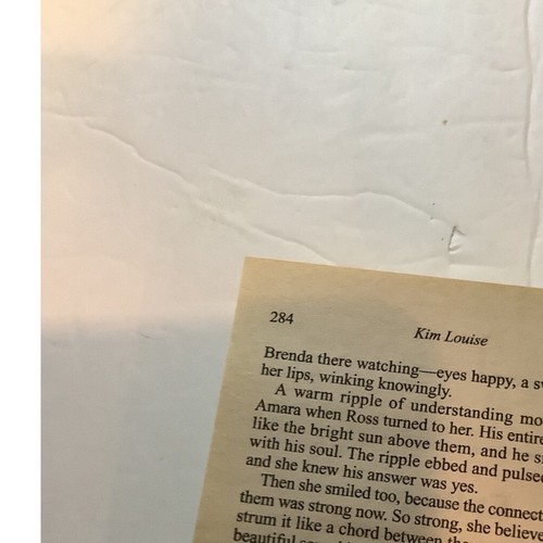 A Love of Their Own Kim Louise 2004 Paperback Adult Romance Fiction Novel - Afbeelding 4 van 8
